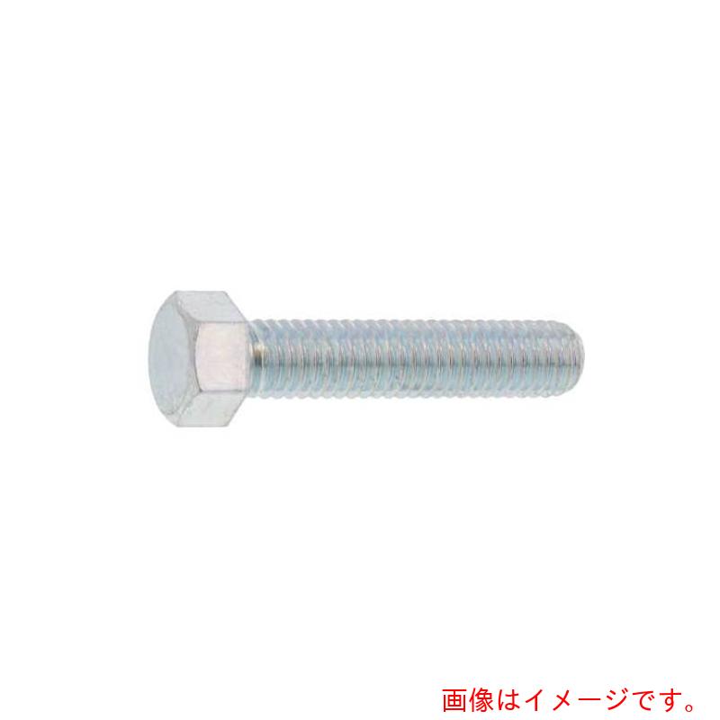 サンコーインダストリー（SUNCO） ＢＳ ６角ＢＴ（全 １／４Ｘ５０ （１００本入） 【品番：B0-01-0002-80200500-00】 花・ガーデン・DIY-ネジ・釘・金属素材