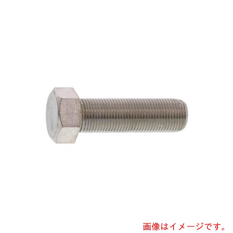 サンコーインダストリー（SUNCO）　ステン　小型六角ボルト　全ネジ・細目Ｐ＝１．０　１２×２０（ホソメ）　（５０本入）　【品番：B0-02-0506-01200200-00】 4,507円