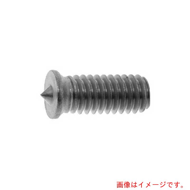 サンコーインダストリー（SUNCO）　ドウメッキパチット（スポットネジ）　５×１２　（５００本入）　【品番：00-00-0810-00500120-00】