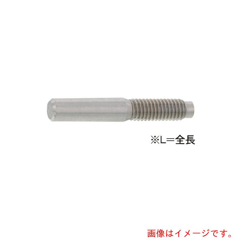 サンコーインダストリー（SUNCO）  ＳＵＳ 外螺旋釘付き添い人テーパーピン ６ Ｘ ５５ （１００本入） 【品番：D0-02-0202-00600550-00】