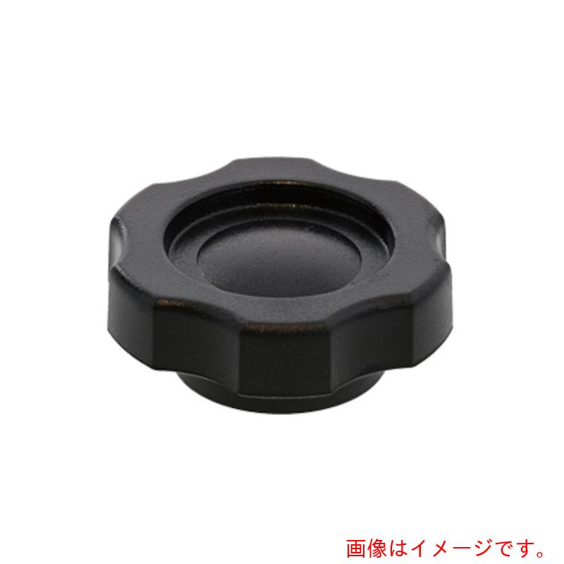 サンコーインダストリー（SUNCO） グリップナット Ｇ２ Ｍ８ （１００本入） 【品番：N0-00-2G20-00800000-00】