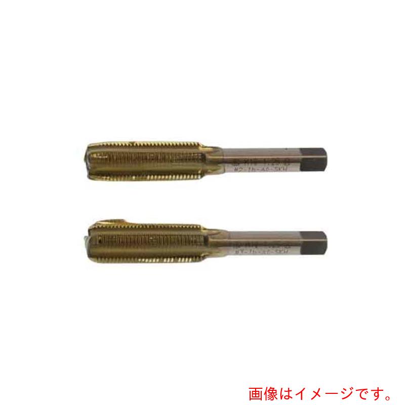 サンコーインダストリー（SUNCO）  Ｅサート（２本組水道栓 （中・上） 所せまい Ｍ１０ホソメ１．２５ （1本入り口・入口） 【品番：N0-00-TV04-01000000-00】