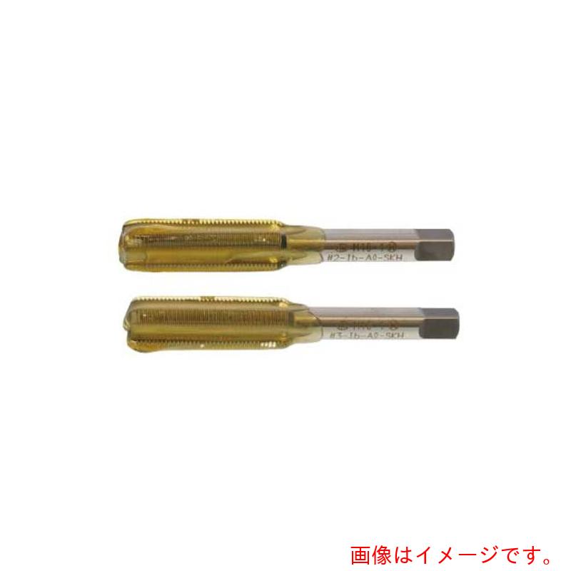 サンコーインダストリー（SUNCO）  Ｅサート（２本組水道栓 （中・上） 所せまい Ｍ１０ホソメ１．０ （1本入り口・入口） 【品番：N0-00-TV05-01000000-00】