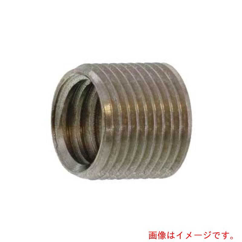 サンコーインダストリー（SUNCO）　ニッケル　ＲＯＨＳ　ＢＳイリサート　（Ｐ＝１．０　Ｍ６Ｘ１２－Ｅ　（１００本入）　【品番：N0-01-0THR-00601200-05】