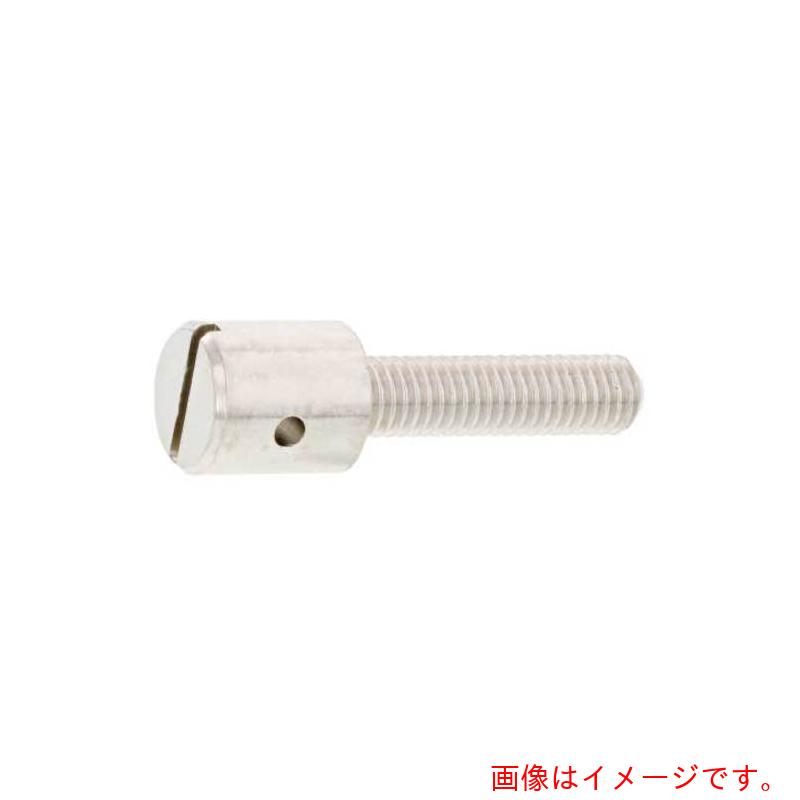 サンコーインダストリー(SUNCO) ニッケルECO−BS封印ビス 5×15 (350本入) 【品番:00-01-J04C-00500150-05】|住設プロ 店