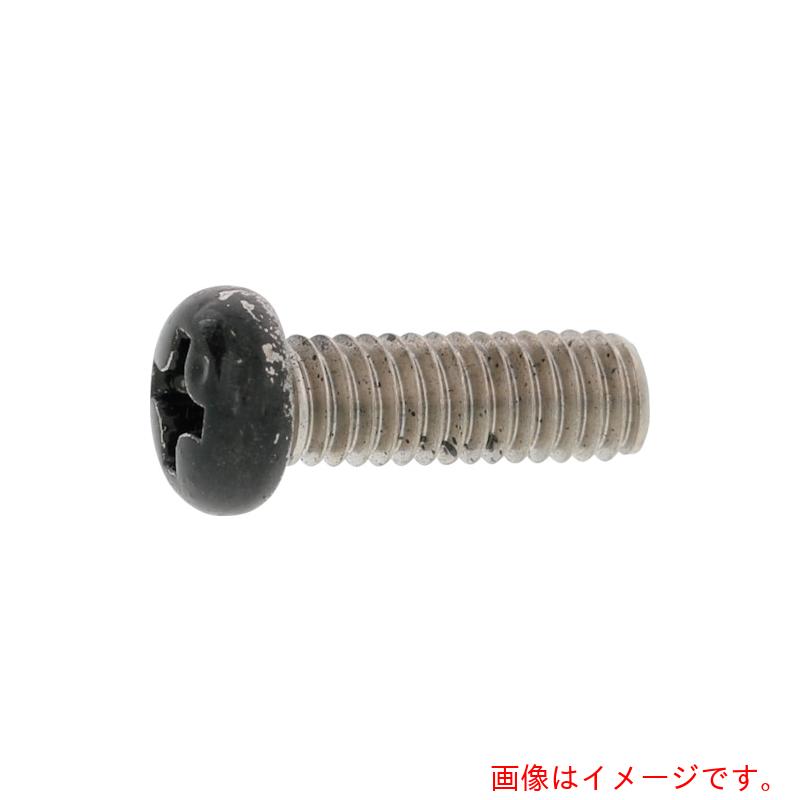 サンコーインダストリー（SUNCO） 天天ブラックステン（＋）ナベ小ねじ釘 ３×６ （３０００本入） 【品番：00-02-0000-00300060-B0】 DIY・工具-花・ガーデン・DIY-その他