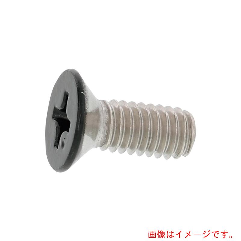 サンコーインダストリー（SUNCO）　頭部ブラックステン（＋）サラ小ネジ　３×６　（３０００本入）　【品番：00-02-0001-00300060-B0】