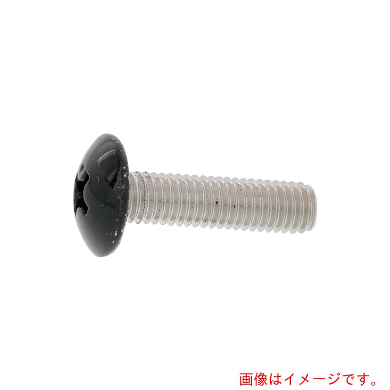 サンコーインダストリー（SUNCO）　頭部ブラックステン（＋）トラス小ネジ　３×８　（２０００本入）　【品番：00-02-0003-00300080-B0】