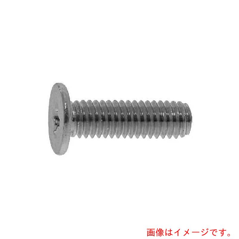 サンコーインダストリー（SUNCO）　ステン＋超低頭ネジ（ＡＨＮ３　３×１０　（２０００本入）　【品番：00-02-A000-00300100-00】
