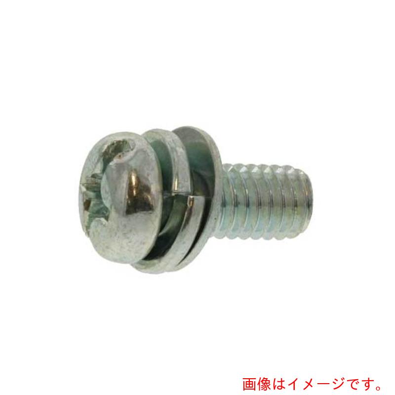 サンコーインダストリー（SUNCO）　組込みねじ　（＋－）ナベＰ＝４（鉄（または標準）・ニッケル）　Ｍ３．５×１０（１８００本入）　【品番：10-00-0204-00350100-05】