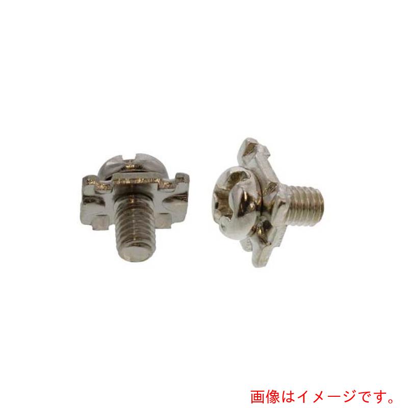 サンコーインダストリー（SUNCO） Ｎｉ 端子ねじ（＋－）ナベＣ形 矩形６．３×７．８×１ ３×６ （１） （３０００本入） 【品番：10-00-0262-00300061-05】