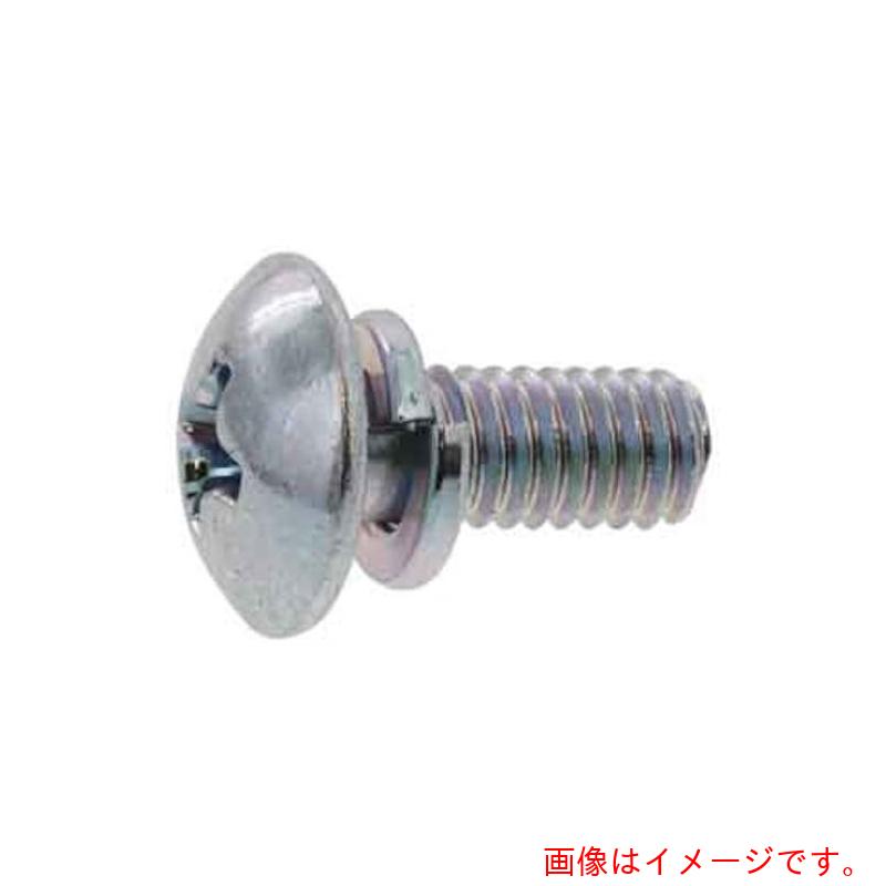 サンコーインダストリー（SUNCO）　組込みねじ　（＋）トラス　Ｐ＝２（鉄（または標準）・ユニクロ）　Ｍ６×３０（３５０本入）　【品番：10-00-0302-00600300-01】
