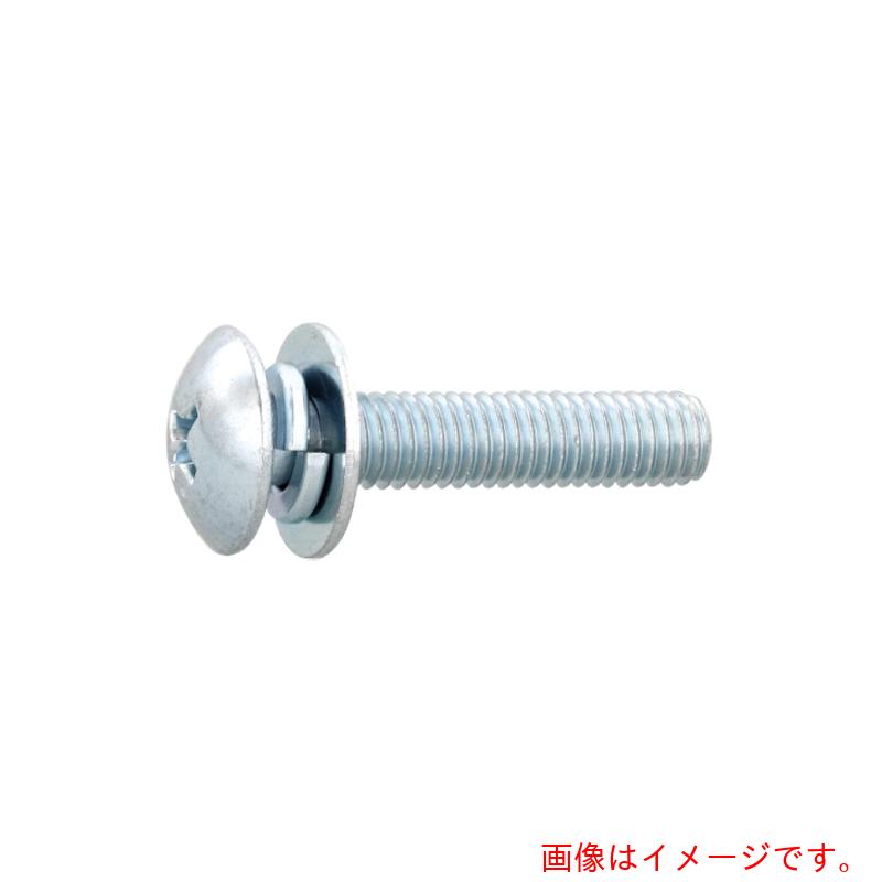サンコーインダストリー（SUNCO）　組込みねじ　（＋）トラス　Ｐ＝３（鉄（または標準）・三価ブラック）　Ｍ４×１４（７００本入）　【品番：10-00-0303-00400140-04】