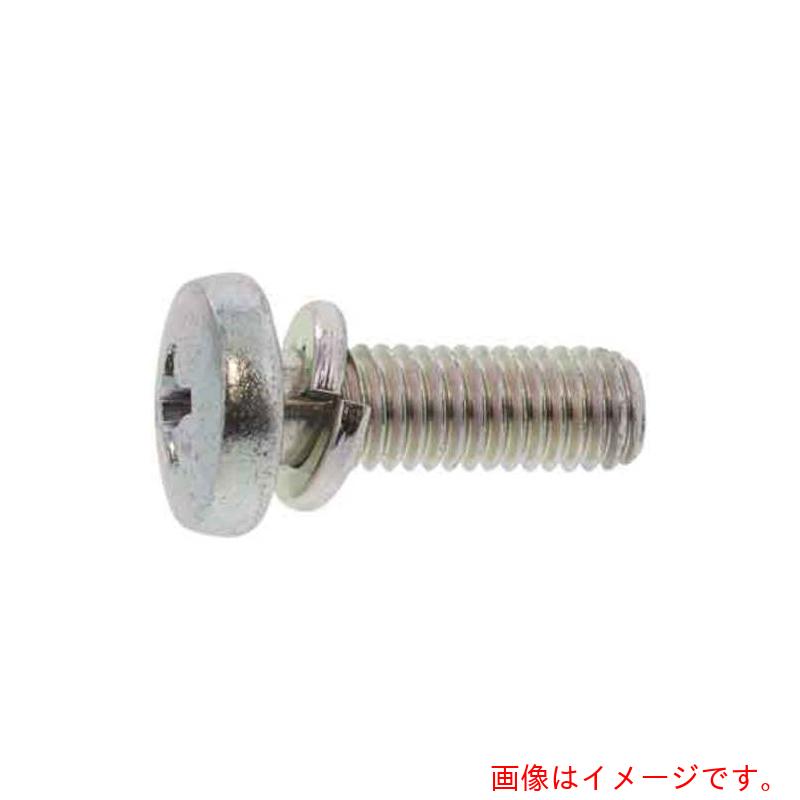 サンコーインダストリー（SUNCO）　組込みねじ　（＋）バインドＰ＝２（鉄（または標準）・クロメート）　Ｍ２×６（５０００本入）　【品番：10-00-0402-00200060-02】
