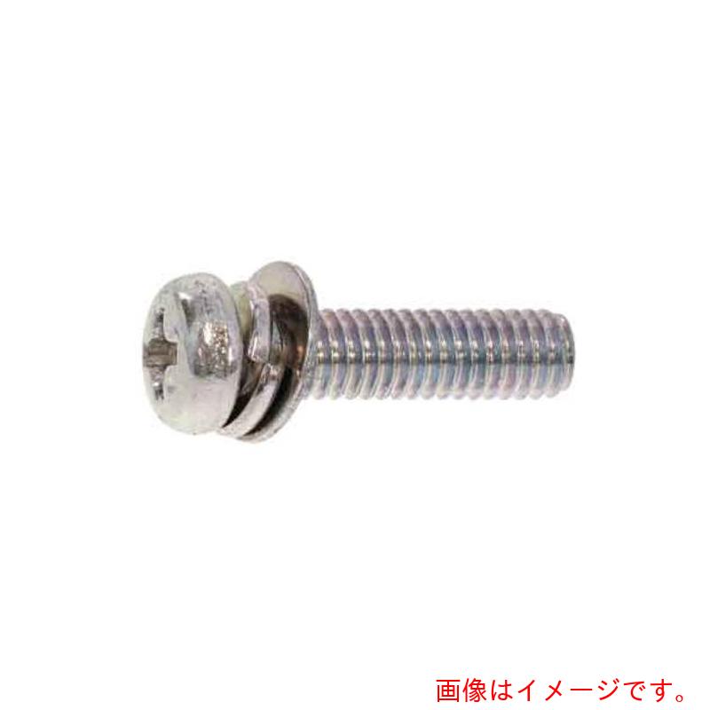 サンコーインダストリー（SUNCO） 組込みねじ ピタック（＋）ナベＰ＝４（鉄（または標準尺度）・三価黒いこと） Ｍ３×６（４０００本入） 【品番：10-00-P004-00300060-04】