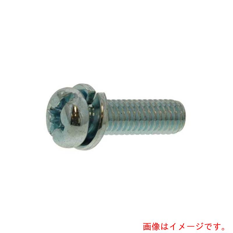 サンコーインダストリー（SUNCO）　組込みねじ　（＋－）ナベＰ＝２（黄銅・ニッケル）　Ｍ４×６（２０００本入）　【品番：10-01-0202-00400060-05】