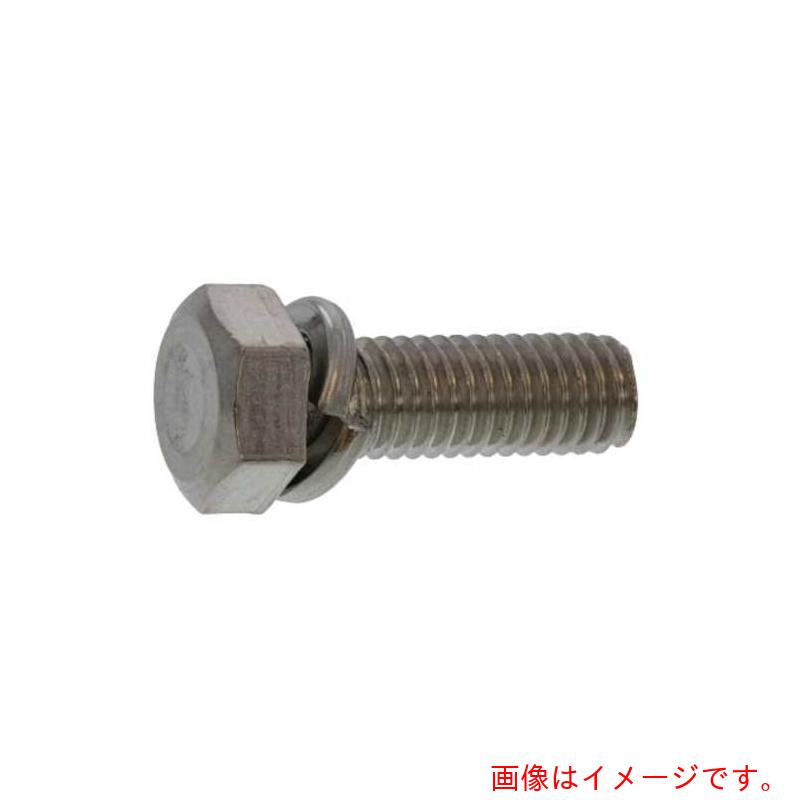 サンコーインダストリー（SUNCO）　クロ－ム　トリ－マＰ＝２　１０×２５　（１００本入）　【品番：11-00-0002-01000250-06】
