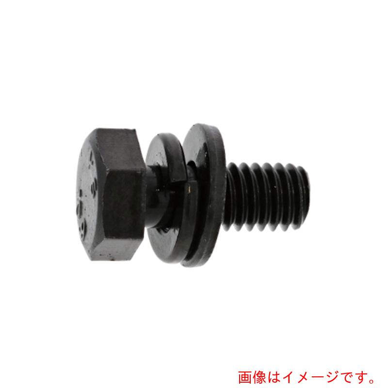 サンコーインダストリー(SUNCO) 三価ホワイト 10.9 トリーマI=3 10×25 (100本入) 【品番:11-00-0413-01000250-03】|住設プロ 店
