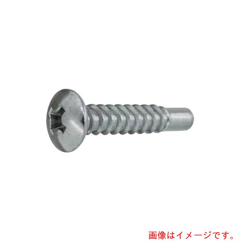 サンコーインダストリー(SUNCO) BK ステン(+)BRPトラス (D=8 4×25(G=5 (1000本入) 【品番:21-02-0508-00400250-08】|住設プロ 店