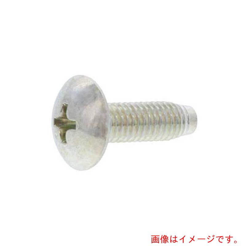 サンコーインダストリー(SUNCO) BK ステン(+)C0トラス 4×10 (1000本入) 【品番:22-02-0103-00400100-08】
