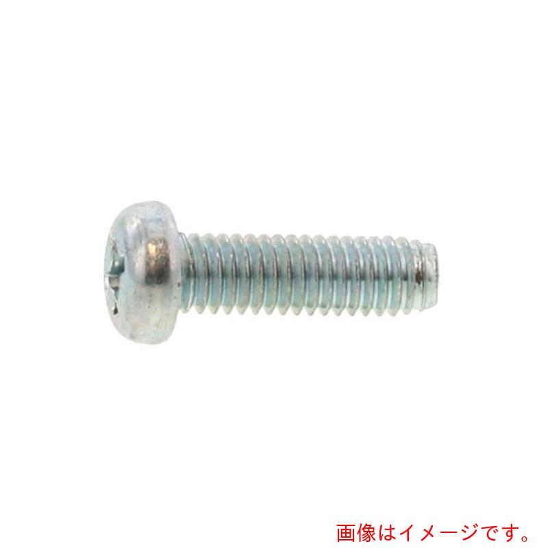 サンコーインダストリー（SUNCO）　三価ホワイト　Ｓタイプナベ　２×１０　（１００００本入）　【品番：30-00-0000-00200100-03】