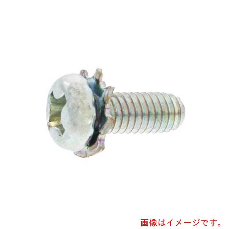 サンコーインダストリー（SUNCO） 三価白いこと Ｓ手合いナベＬＯ＝２外歯 ３×６ （４０００本入） 【品番：30-00-7005-00300060-03】