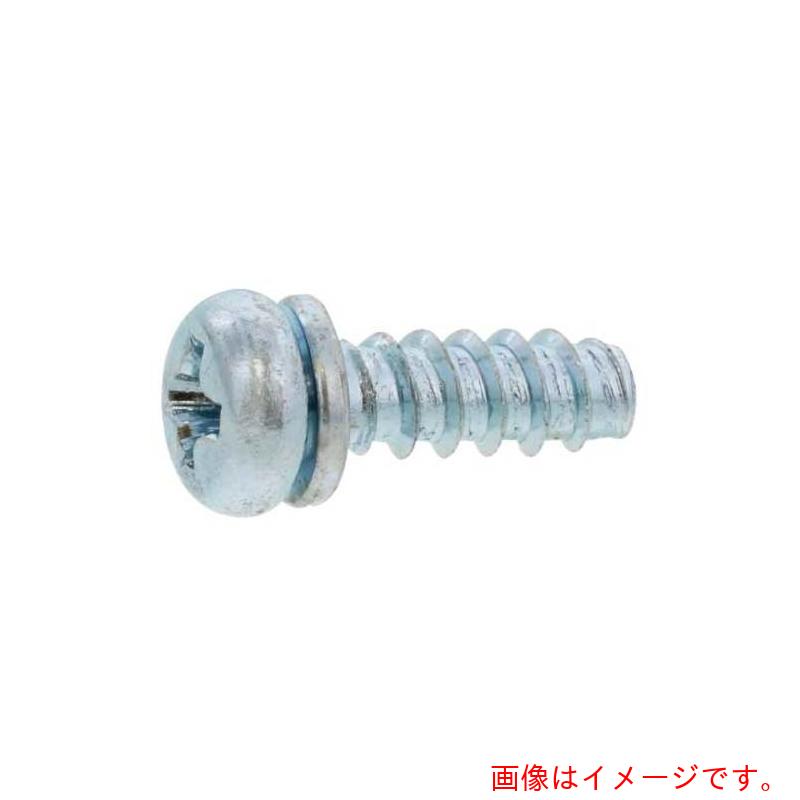 サンコーインダストリー(SUNCO) 三価ホワイト BタイプナベP=2 2.6×6(Gナシ (3500本入) 【品番:30-00-8002-00260060-03】|住設プロ 店