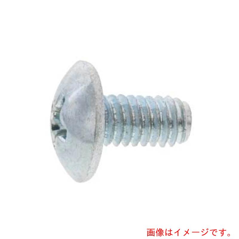サンコーインダストリー（SUNCO）　三価ホワイト　ＦＴネジ（トラス）　４×８　（６０００本入）　【品番：30-00-FT03-00400080-03】