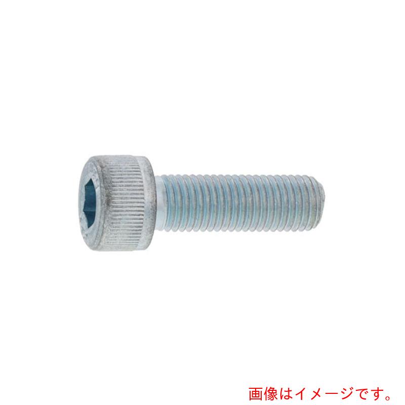 サンコーインダストリー（SUNCO）　ＣＡＰ（六角穴付きボルト）（細目Ｐ－２．０　２４×２００　（1本入）　【品番：A0-00-0004-02402000-00】