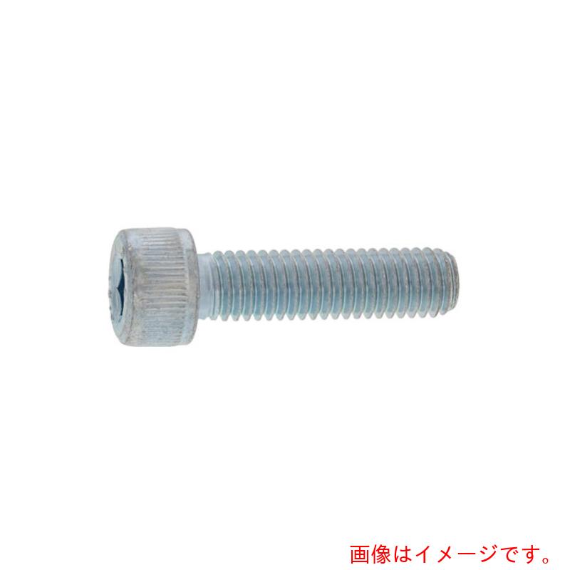 サンコーインダストリー（SUNCO） 錫青緑色ＣＡＰ（カクマル２４Ｘ４０（２０本入） 【品番：A0-00-000K-02400400-20】