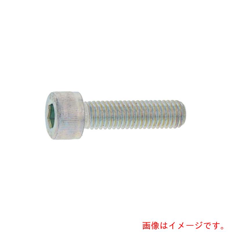 サンコーインダストリー（SUNCO） 三価白いこと ＣＡＰ（日産螺旋釘  ４×７５ （３００本入） 【品番：A0-00-000N-00400750-03】