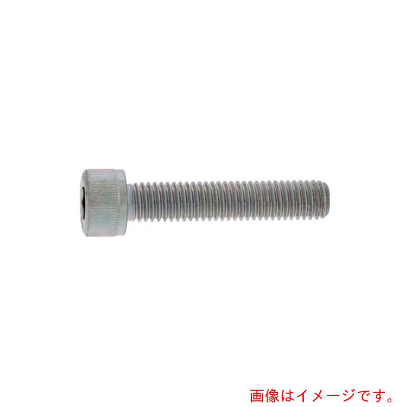 サンコーインダストリー（SUNCO） 錫青緑色ＣＡＰ全螺子釘５×７０×７０（２００本入） 【品番：A0-00-0010-00500700-20】