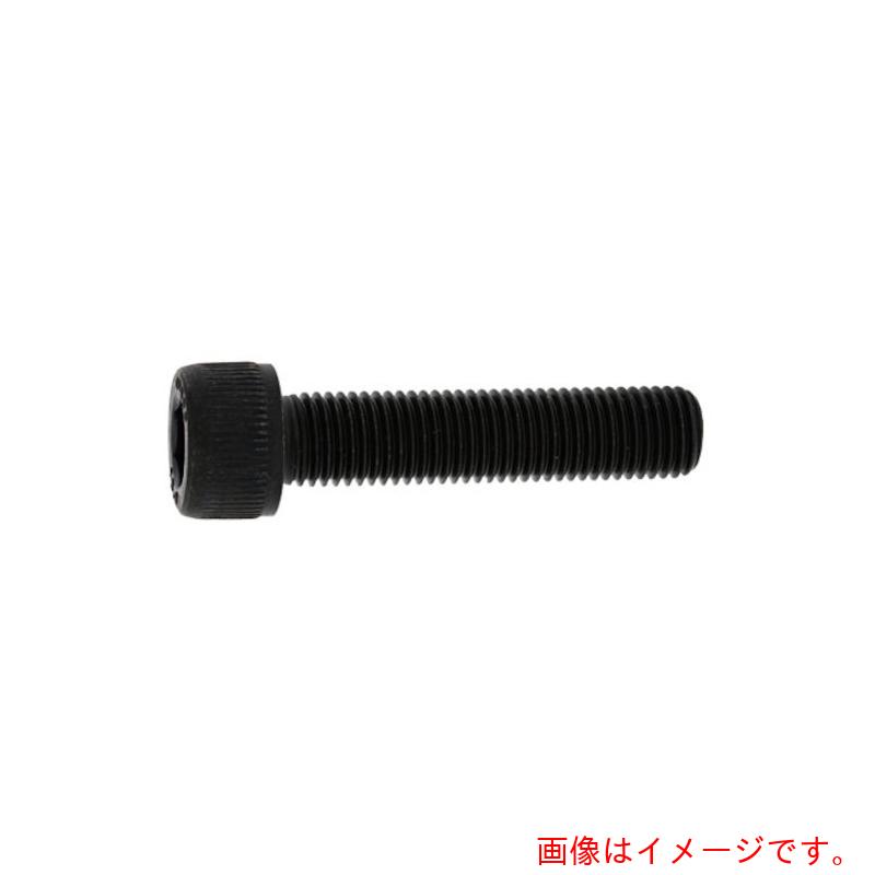 サンコーインダストリー(SUNCO) CAP(全ネジ 細目P1.5 16×95×95 (30本入) 【品番:A0-00-0014-01600950-00】