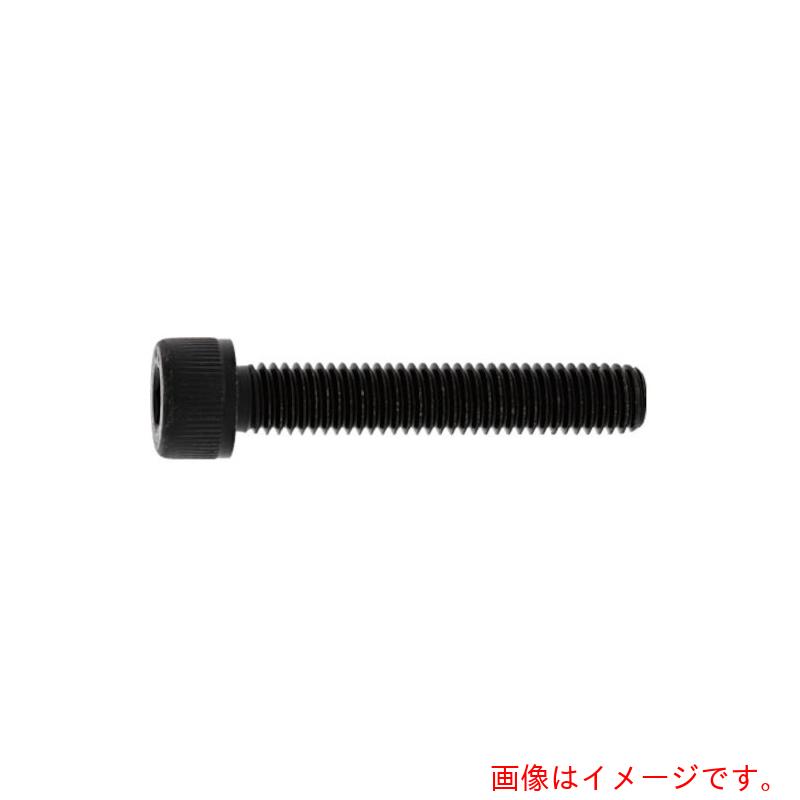 サンコーインダストリー（SUNCO）　ＣＡＰアンスコ（全ネジ　４×３５×３５　（５００本入）　【品番：A0-00-001A-00400350-00】