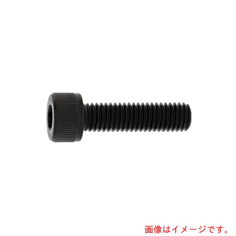 サンコーインダストリー（SUNCO） ＣＡＰ（左ねじ ５ × ２０ （５００本入） 【品番：A0-00-0020-00500200-00】