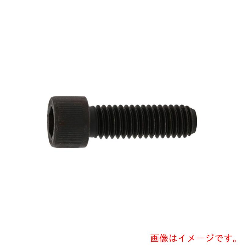 サンコーインダストリー(SUNCO) CAP(UNC アンブラコ #10−24X3/8 (100本入) 【品番:A0-00-003P-71008030-00】|住設プロ 店