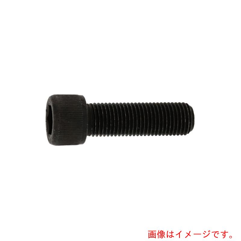 サンコーインダストリー（SUNCO） ＣＡＰ（ＵＮＦ ＃１－７２×５／８ （１００本入） 【品番：A0-00-0040-70108050-00】