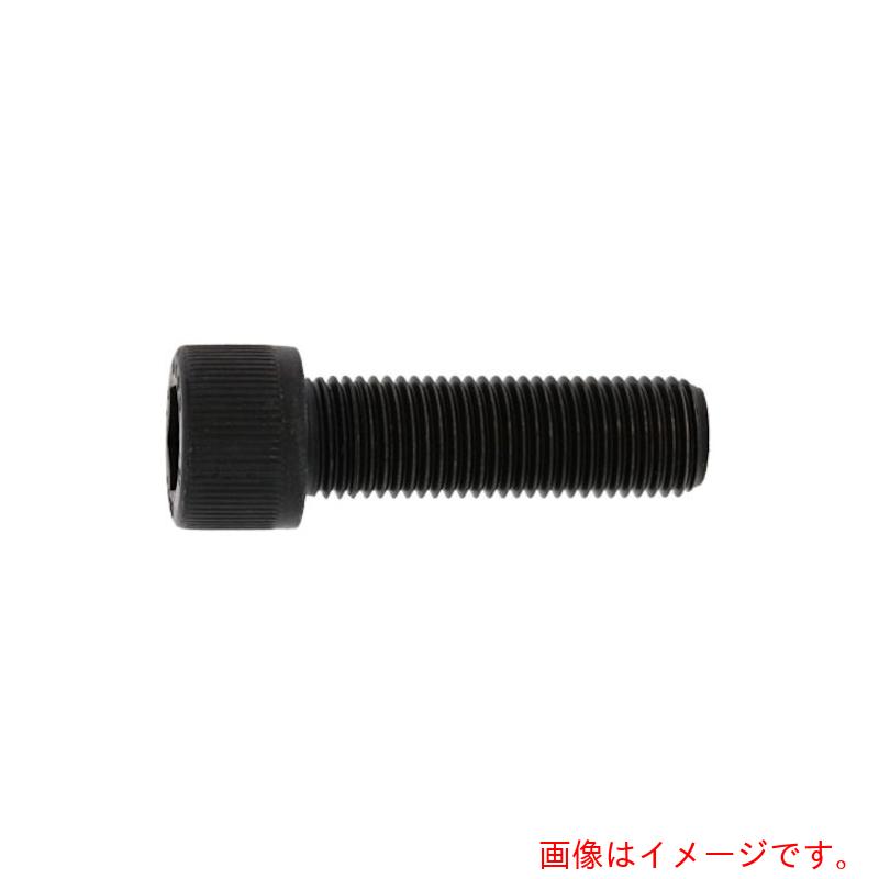 サンコーインダストリー(SUNCO) CAP(UNF アンブラコ #0−80X3/16 (100本入) 【品番:A0-00-004P-70058015-00】|住設プロ 店