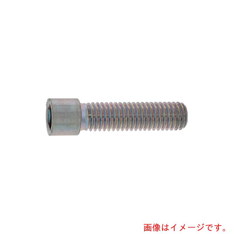 サンコーインダストリー（SUNCO） 三価黒いこと 小頭ＣＡＰ ８×３０ （１００本入） 【品番：A0-00-0050-00800300-04】
