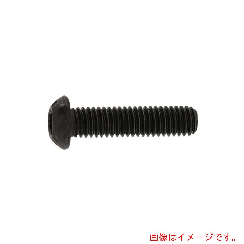 サンコーインダストリー(SUNCO) ボタンCAP アンブラコ 8×10 (200本入) 【品番:A0-00-100P-00800100-00】|住設プロ 店