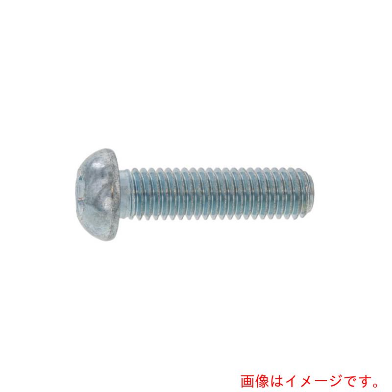 サンコーインダストリー（SUNCO） Ｎｉ 名取り草ＣＡＰ（ＴＫＳ ３×２０ （１０００本入） 【品番：A0-00-100T-00300200-05】