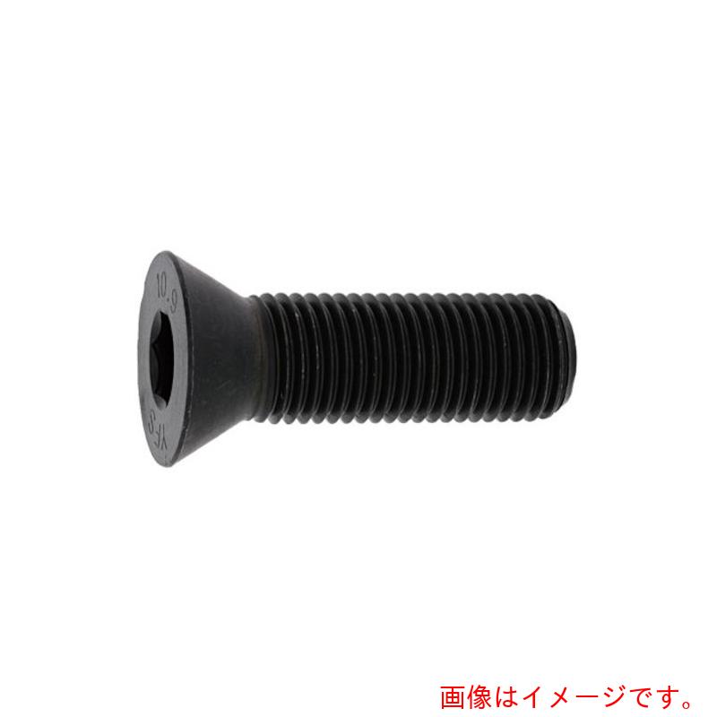 サンコーインダストリー（SUNCO）　サラＣＡＰ　２２×５０　（1本入）　【品番：A0-00-2000-02200500-00】