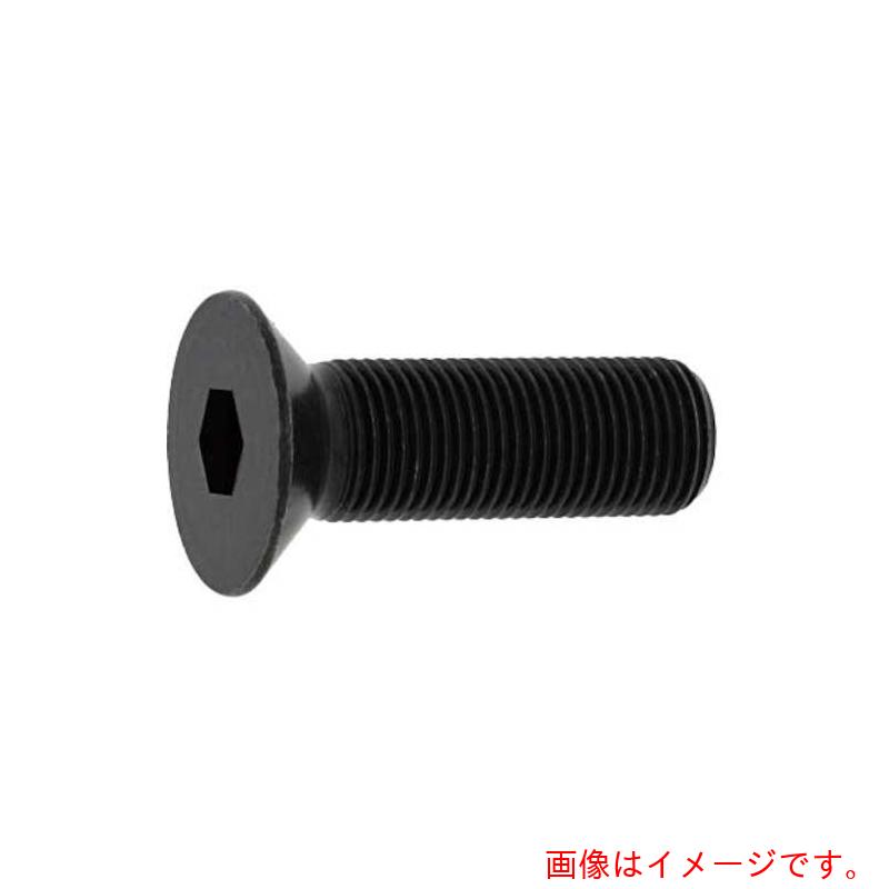 サンコーインダストリー（SUNCO）　三価ホワイト　サラＣＡＰ（細目　Ｐ&minus;１．２５　１２&times;４０　（８０本入）　【品番：A0-00-2004-01200400-03】｜住設プロ　店