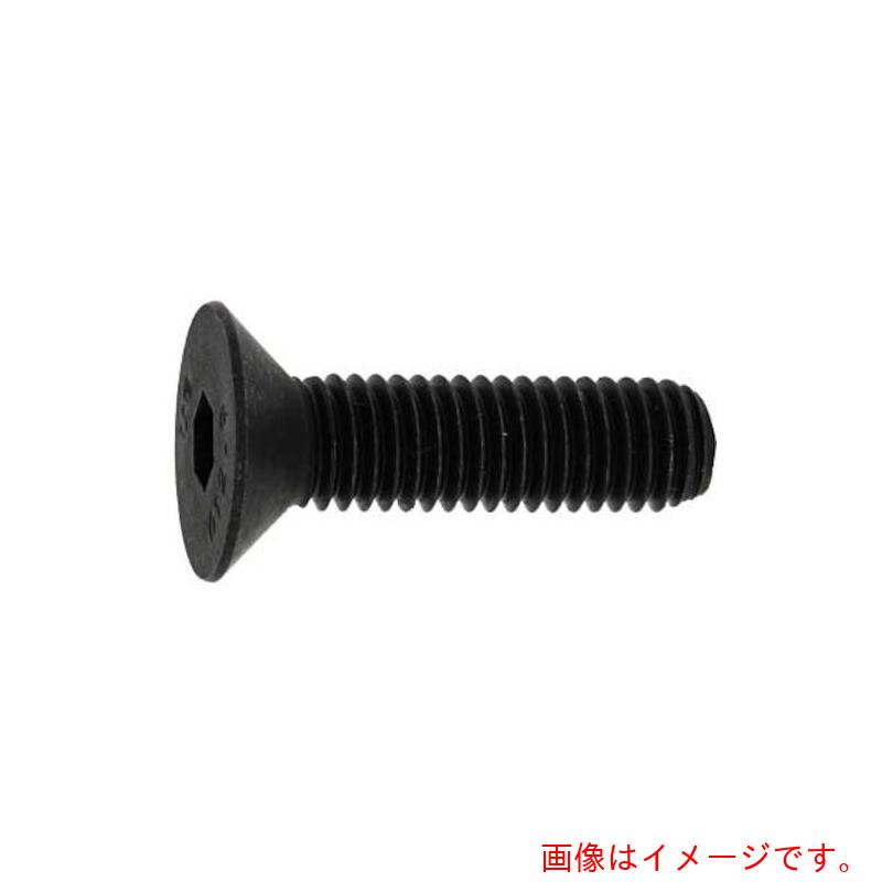サンコーインダストリー（SUNCO）　サラＣＡＰ　アンブラコ　１０×１５　（２００本入）　【品番：A0-00-200P-01000150-00】
