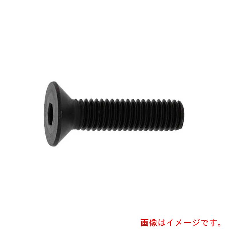 サンコーインダストリー（SUNCO）　サラＣＡＰ（左ネジ　１０×２０　（１００本入）　【品番：A0-00-2020-01000200-00】