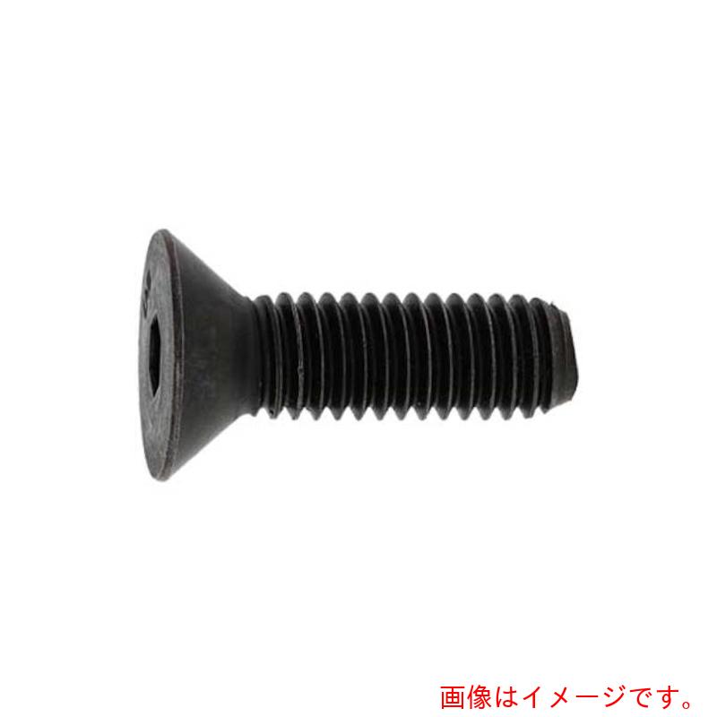 サンコーインダストリー(SUNCO) サラCAP(UNC アンブラコ #10−24X3/8 (100本入) 【品番:A0-00-203P-71008030-00】|住設プロ 店
