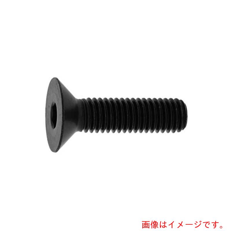 サンコーインダストリー（SUNCO） 三価黒いこと サラＣＡＰ（日産螺子釘 ＪＩＳ ５×５０ （４００本入） 【品番：A0-00-20JN-00500500-04】