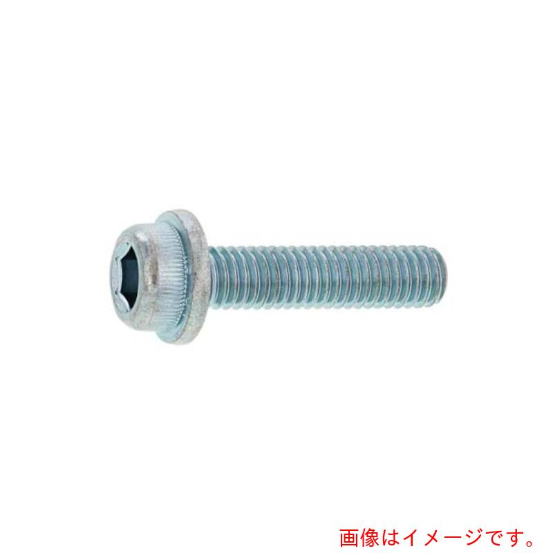 サンコーインダストリー（SUNCO） 三価白いこと フランジＣＡＰ ４×１０ （１０００本入） 【品番：A0-00-300M-00400100-03】
