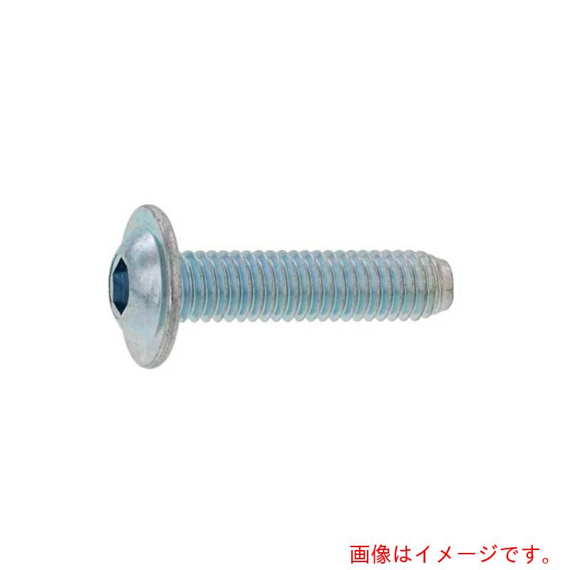 サンコーインダストリー（SUNCO） 三価白いこと フランジボタンＣＡＰ ５×１２ （１０００本入） 【品番：A0-00-3100-00500120-03】