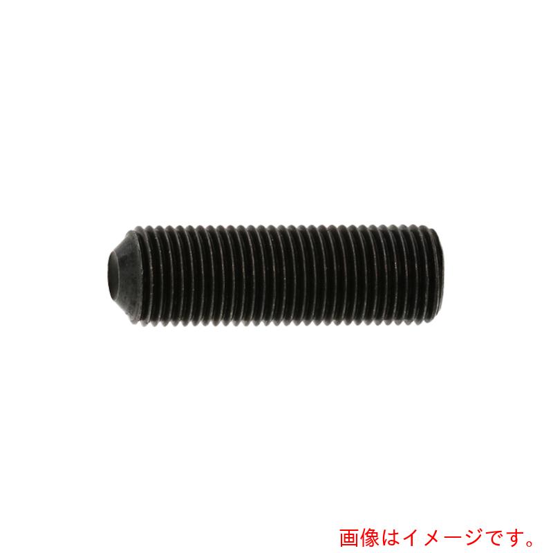 サンコーインダストリー（SUNCO） ＨＳクボミ 所せまいＰ１．２５ １２×４５ （１００本入） 【品番：A0-00-5004-01200450-00】